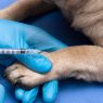 Onde vacinar cachorro em Itu com acompanhamento veterinário - Aumivet Centro Veterinário